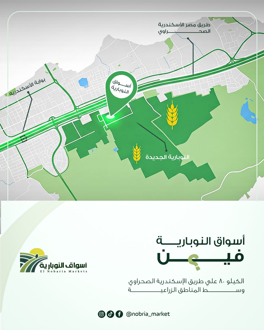 فرصة استثمار حقيقية في قلب تجارة الغذاء بمصر