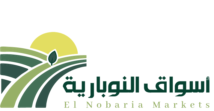 Noubariya Markets